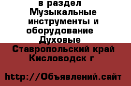  в раздел : Музыкальные инструменты и оборудование » Духовые . Ставропольский край,Кисловодск г.